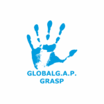 global gap grasp