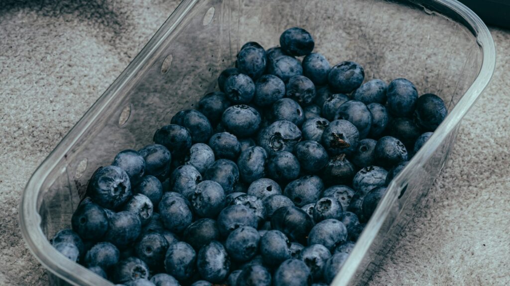 berry storage container